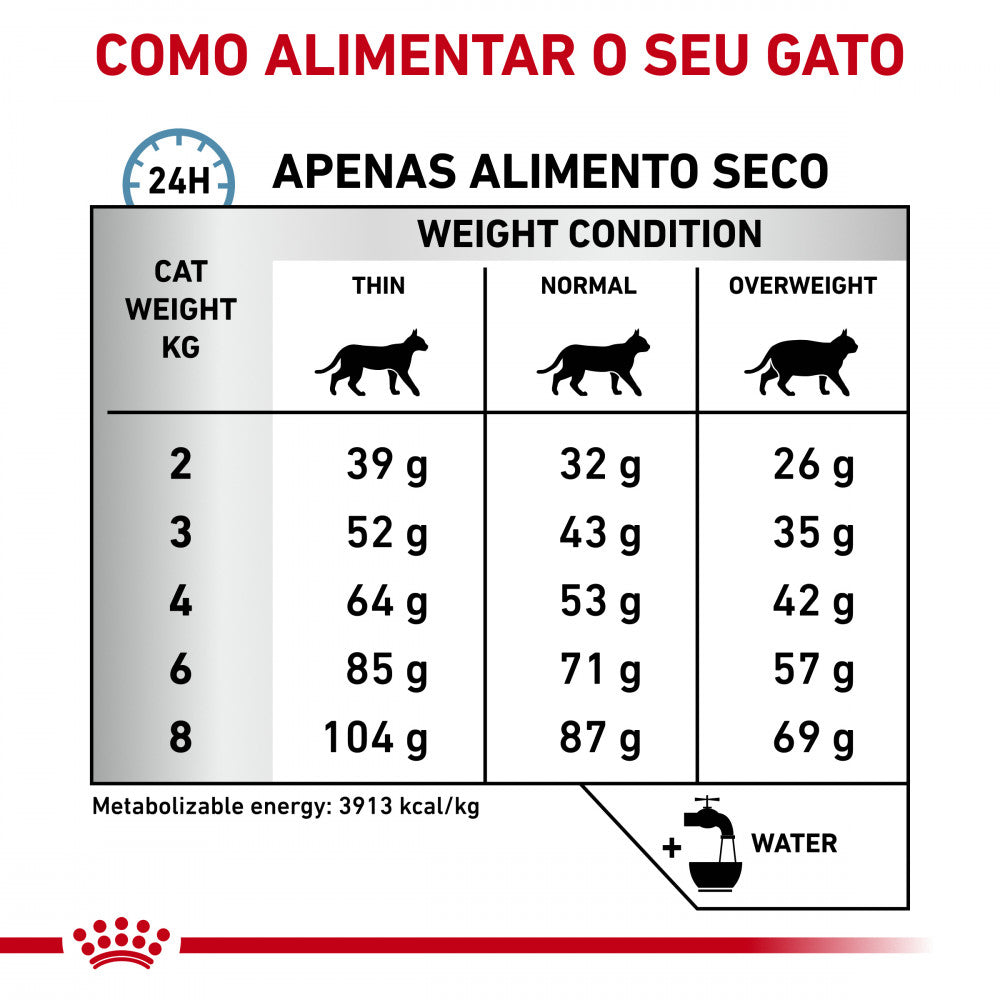 Royal Canin VET Anallergenic - Ração seca para gato com intolerâncias alimentares