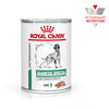 Royal Canin VET Diabetic - Alimento húmido para cão com diabetes