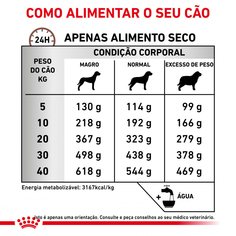 Royal Canin VET Gastrointestinal High Fibre - Ração seca rica em fibras para cão com problemas digestivos
