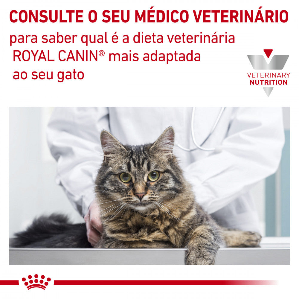 Royal Canin VET Hypoallergenic - Ração seca para gatos com alergias