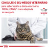 Royal Canin VET Hypoallergenic - Ração seca para gatos com alergias