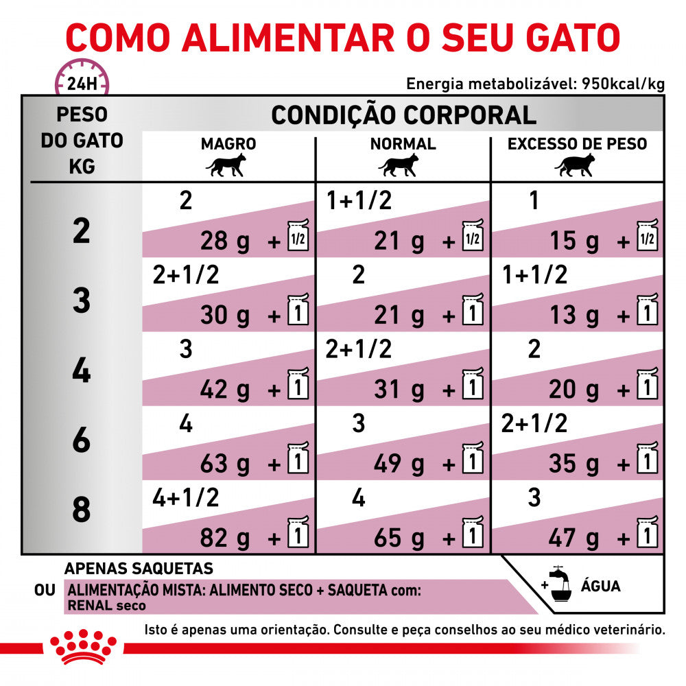 Royal Canin VET Renal - Alimento húmido para gatos com doença renal - Sabor a Peixe