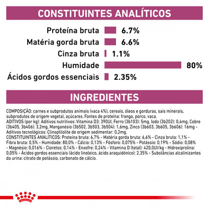 Royal Canin VET Renal - Alimento húmido para gatos com doença renal - Sabor a Vaca
