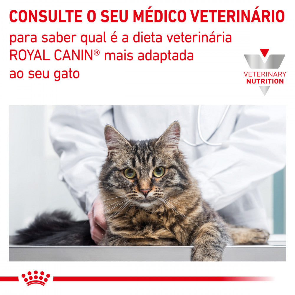 Royal Canin VET Renal - Alimento húmido para gatos com doença renal - Sabor a Vaca