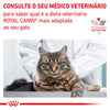 Royal Canin VET Renal - Ração seca para gatos com doença renal
