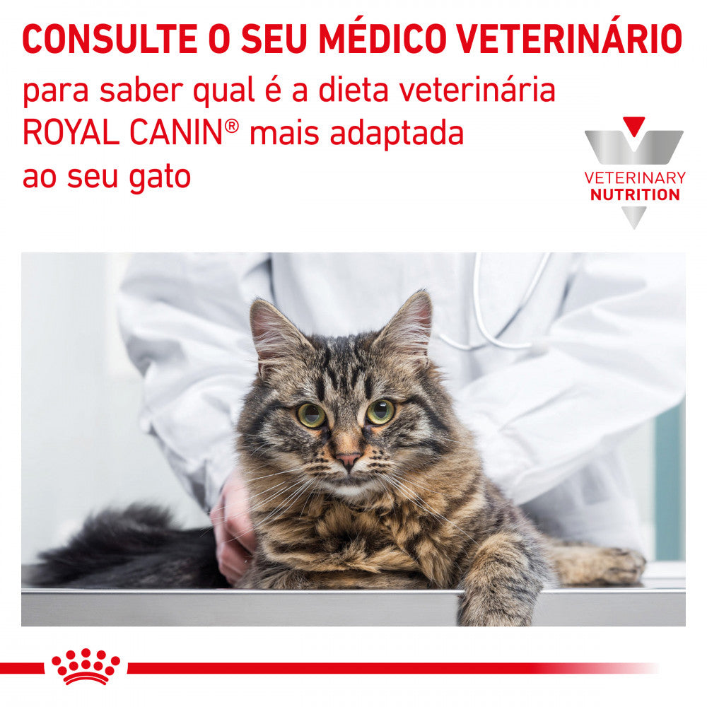 Royal Canin VET Renal Select - Ração seca para gatos com doença renal