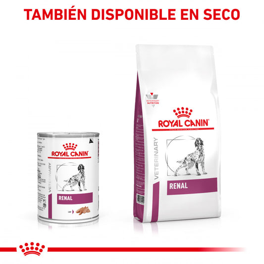 Royal Canin VET Renal Special - Ração seca para cão com doença renal