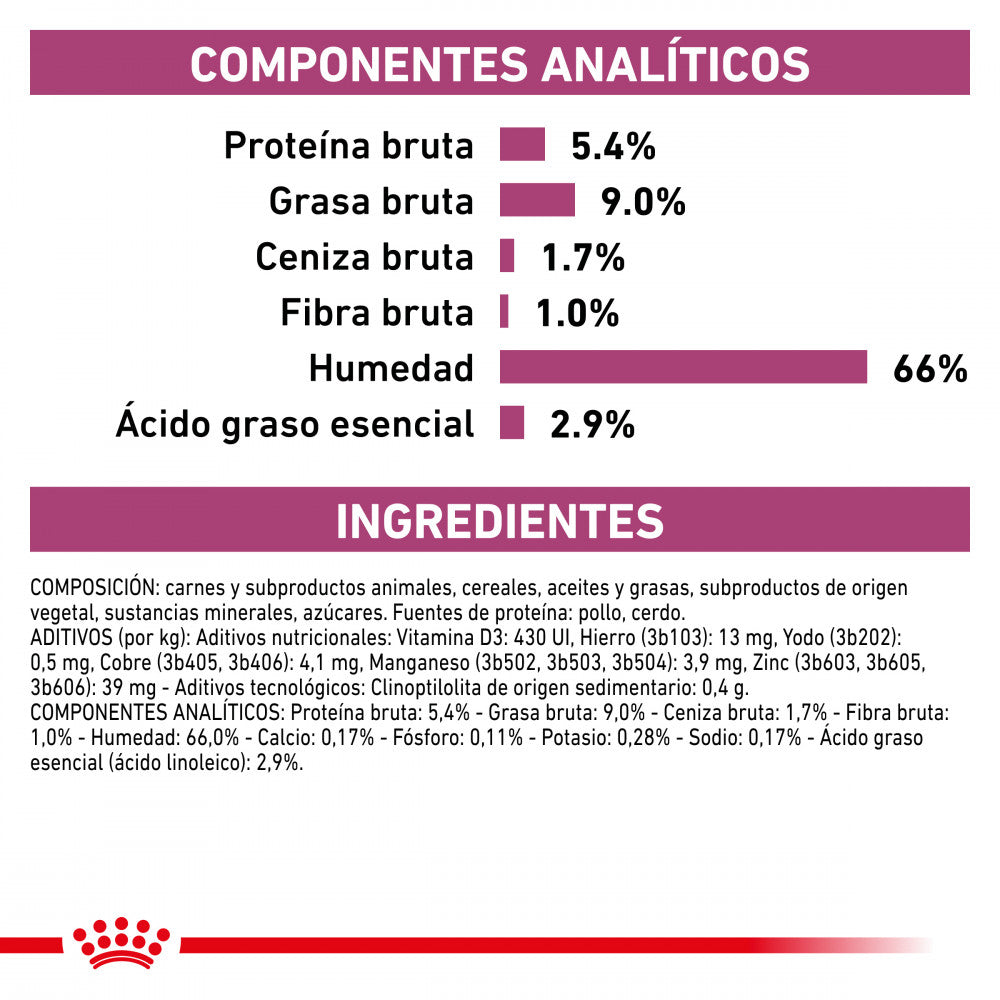 Royal Canin VET Renal Special - Ração seca para cão com doença renal