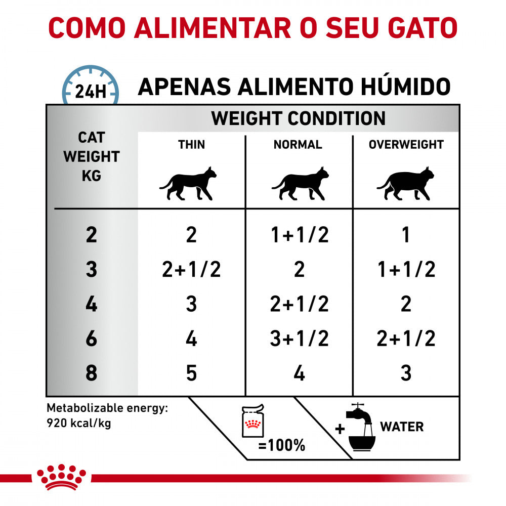 Royal Canin VET Skin & Coat - Alimento húmido para gatos com dermatite e queda de pelo