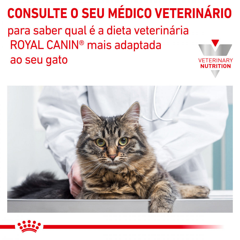 Royal Canin VET Skin & Coat - Ração seca para gatos com dermatite e queda de pelo