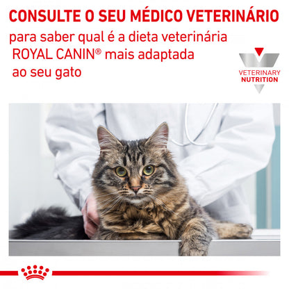 Royal Canin VET Skin & Coat - Ração seca para gatos com dermatite e queda de pelo