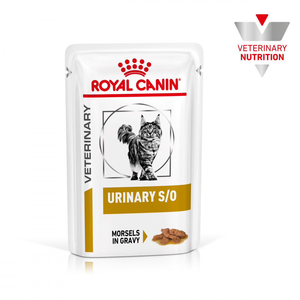 Royal Canin VET Urinary S/O - Alimento húmido em molho para gatos com problemas urinários