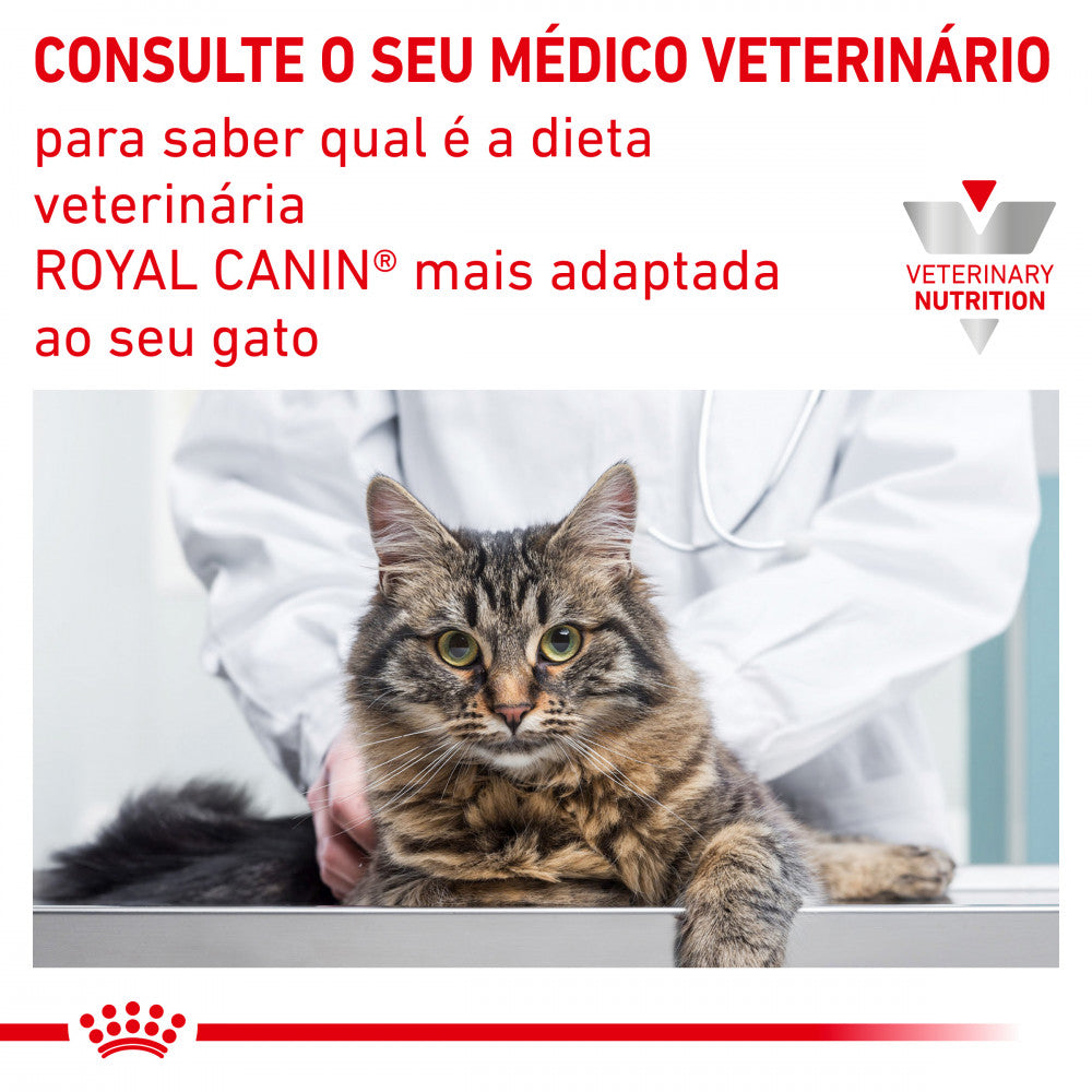 Royal Canin VET Urinary S/O - Alimento húmido em molho para gatos com problemas urinários
