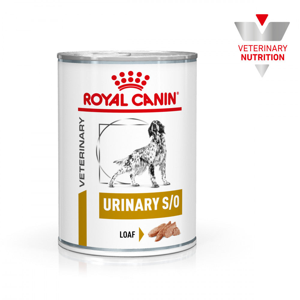 Royal Canin VET Urinary S/O Loaf - Alimento húmido para cão com problemas urinários