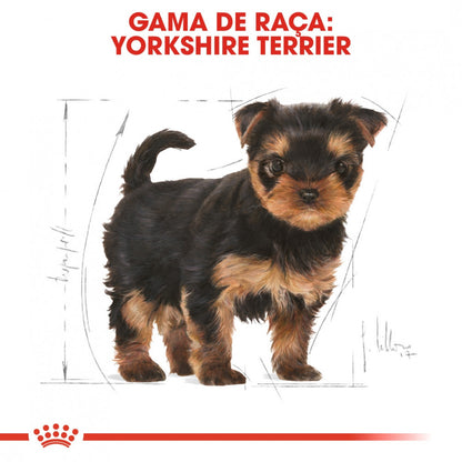 Royal Canin Yorkshire Terrier Puppy - Ração seca para cachorro de raça