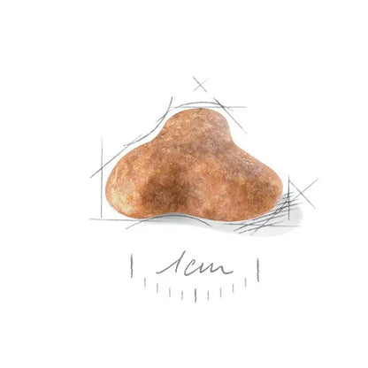 Royal Canin Pug Adult - Ração seca para cão de raça