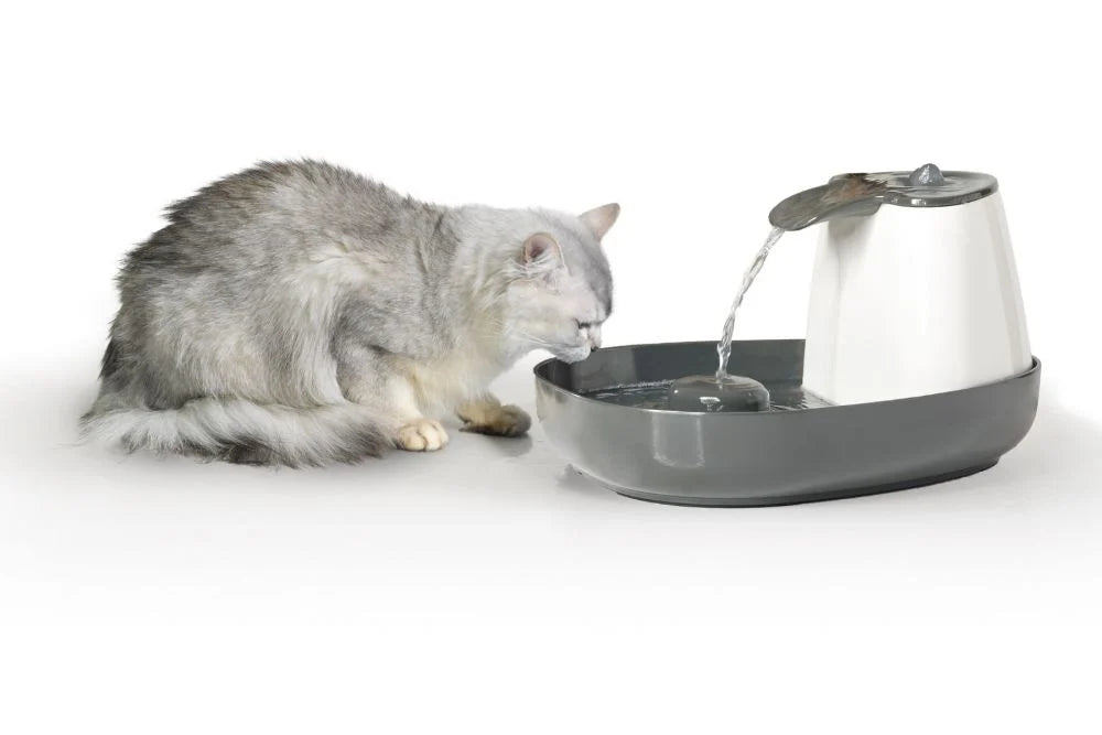 Savic - Fonte de água Cascade