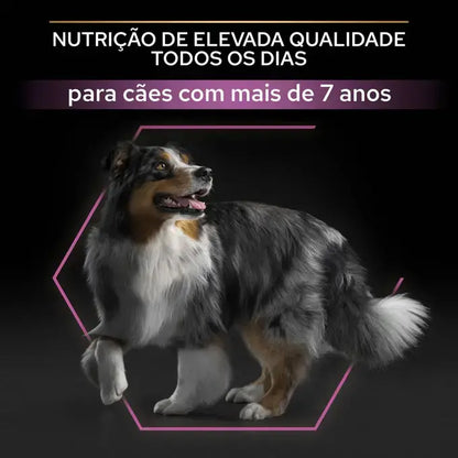 Pro Plan Age Defence Medium & Large 7+ - Ração seca para cão de porte médio e grande com mais de 7 anos - Sabor a Frango