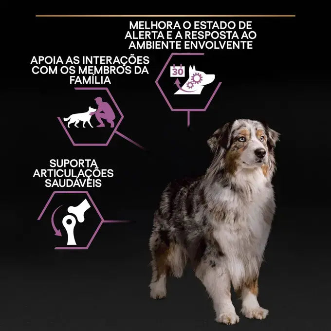 Pro Plan Age Defence Medium & Large 7+ - Ração seca para cão de porte médio e grande com mais de 7 anos - Sabor a Frango