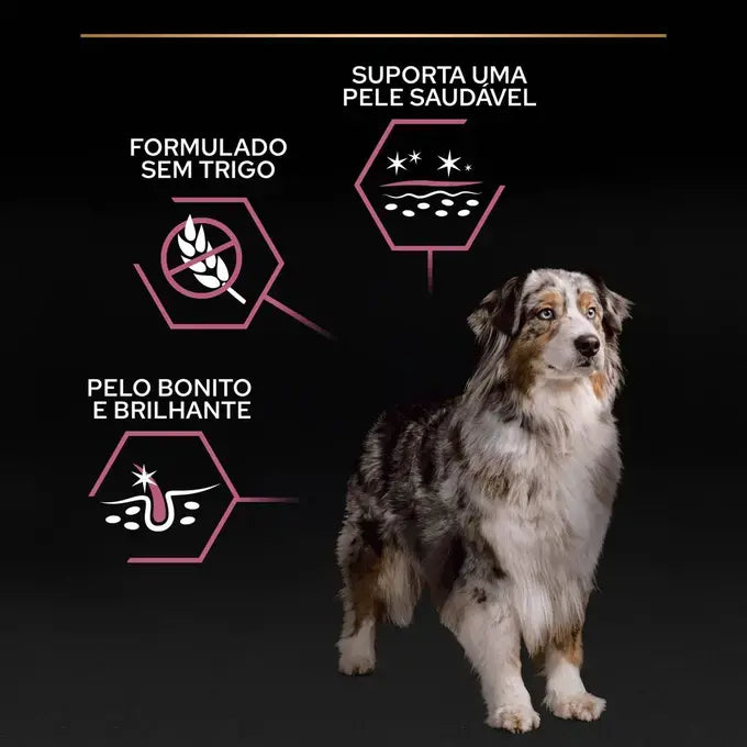 Pro Plan Age Defence Medium & Large 7+ - Ração seca para cão de porte médio e grande com mais de 7 anos - Sabor a Salmão