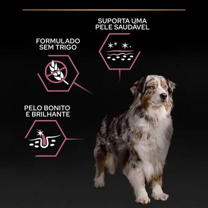 Pro Plan Age Defence Medium & Large 7+ - Ração seca para cão de porte médio e grande com mais de 7 anos - Sabor a Salmão
