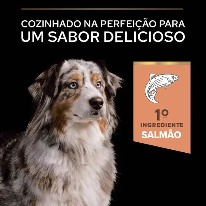 Pro Plan Age Defence Medium & Large 7+ - Ração seca para cão de porte médio e grande com mais de 7 anos - Sabor a Salmão