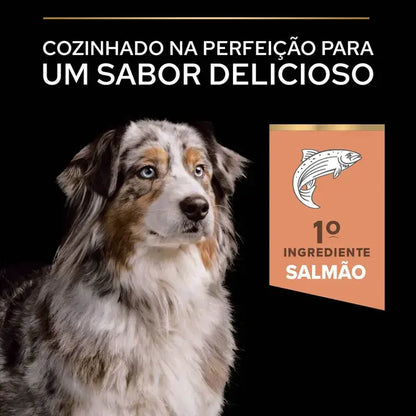 Pro Plan Age Defence Medium & Large 7+ - Ração seca para cão de porte médio e grande com mais de 7 anos - Sabor a Salmão
