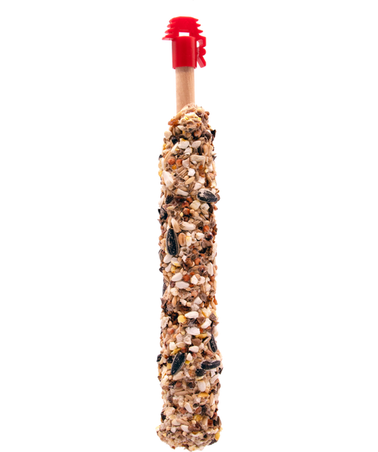 Versele Laga Prestige Sticks com nozes e passas para grandes periquitos e papagaios