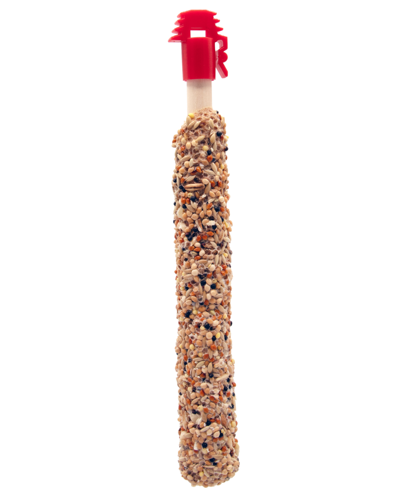 Versele Laga Prestige Sticks para pequenos papagaios com nozes e passas