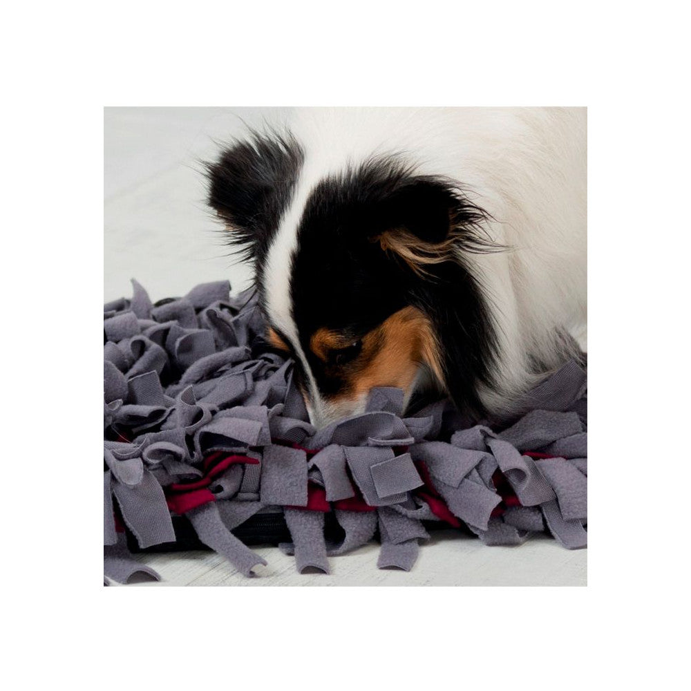 Tapete para farejar - Trixie