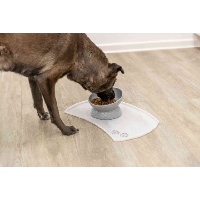 Trixie - Taça de Cerâmica Elevada