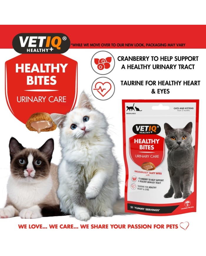 HealthyBites Urinary Care - Biscoitos para gatos