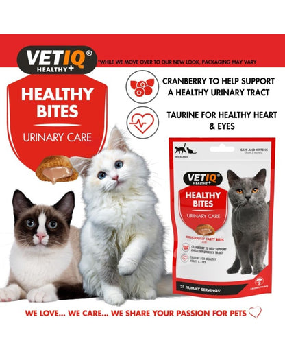 HealthyBites Urinary Care - Biscoitos para gatos