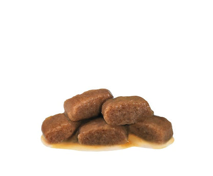 Royal Canin VET Renal - Alimento húmido para gatos com doença renal - Sabor a Vaca