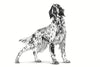 Load image into Gallery viewer, Royal Canin VET Urinary U/C - Ração seca para cão com problemas urinários