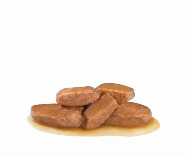 Royal Canin VET Early Renal - Alimento húmido em molho para gatos com doença renal precoce