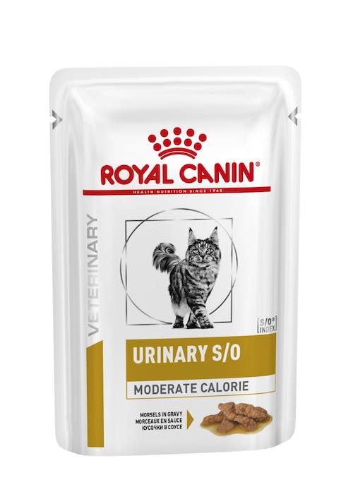 Royal Canin VET Urinary S/O Moderate Calorie - Alimento húmido para gatos com problemas urinários