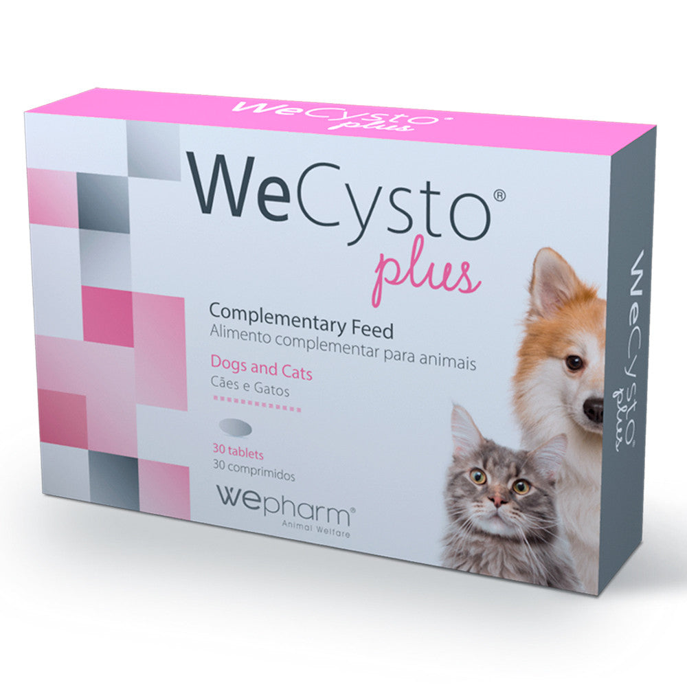 WeCysto Plus - Suporte à função urinária dos gatos