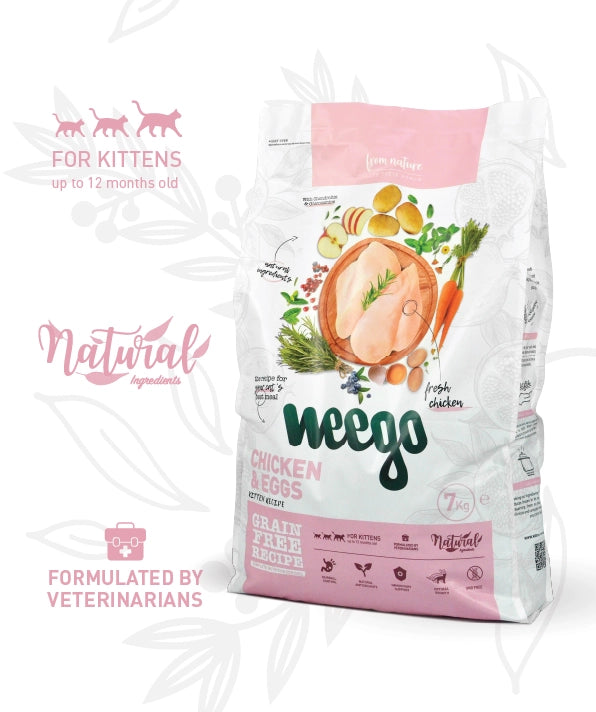 Weego Chicken & Eggs - Gatinhos