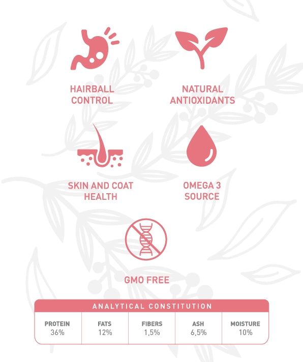 Weego Salmão e Chá Verde - Gatos Adultos Esterilizados