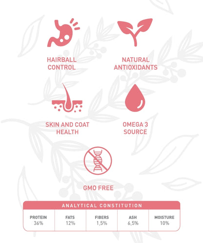 Weego Salmão e Chá Verde - Gatos Adultos Esterilizados