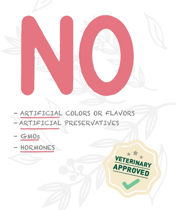 Weego Salmão e Chá Verde - Gatos Adultos Esterilizados