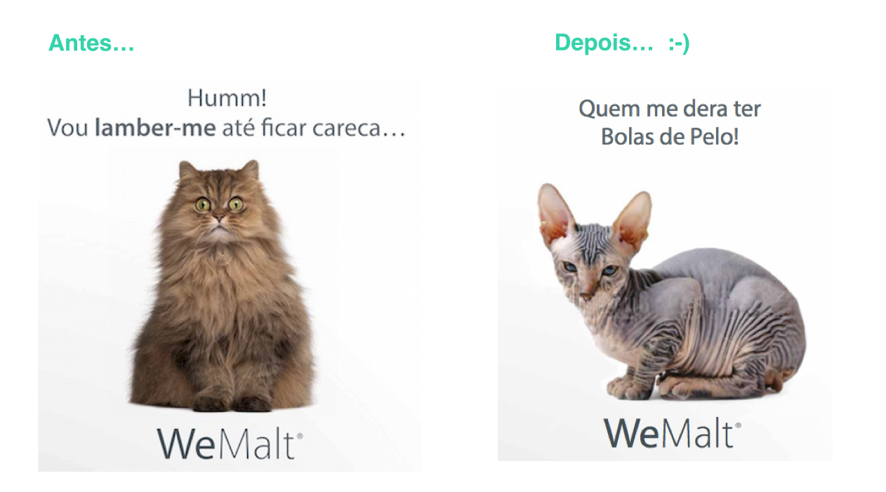 WeMalt - Pasta anti bolas de pelo