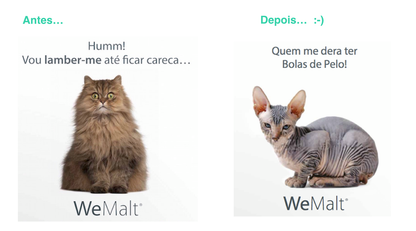 WeMalt - Pasta anti bolas de pelo