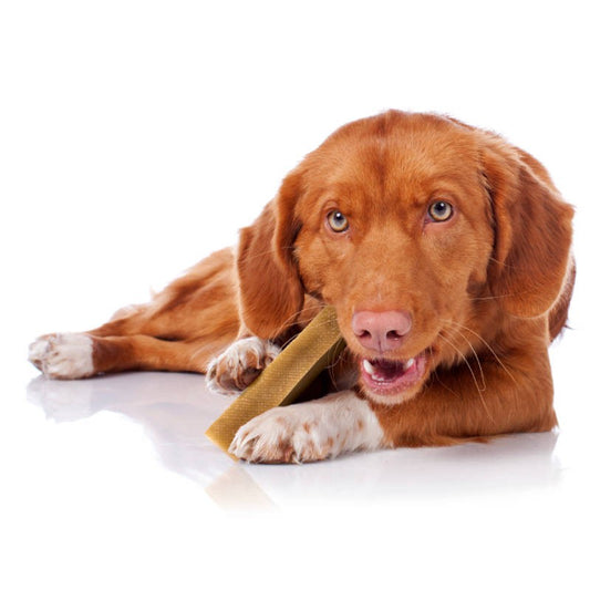 Yaking Dog Chew