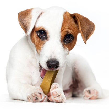 Yaking Dog Chew